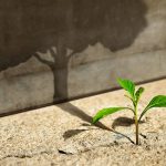 Meet the IT leader In Lebanon who became an IT entrepreneur