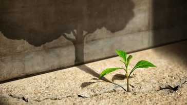 Meet the IT leader In Lebanon who became an IT entrepreneur