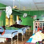 Experts urge innovative financing to strengthen Africa’s Lassa fever R&D