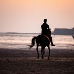 Dolazi vrijeme stratega i prijelomna točka u poslovanju: Jeste li konj ili jahač?