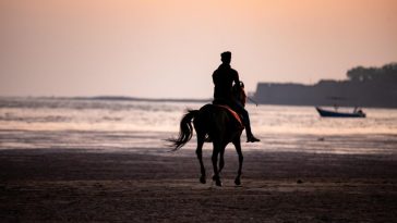 Dolazi vrijeme stratega i prijelomna točka u poslovanju: Jeste li konj ili jahač?