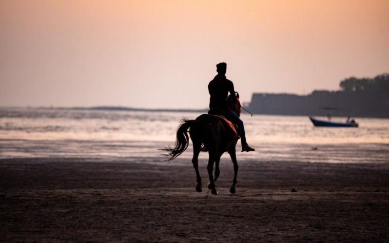 Dolazi vrijeme stratega i prijelomna točka u poslovanju: Jeste li konj ili jahač?