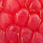 Your Visual Processing Skills Need To Be Off The Charts To Pass This Incredibly Zoomed-In Quiz