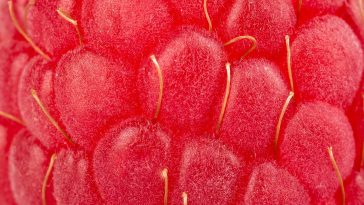 Your Visual Processing Skills Need To Be Off The Charts To Pass This Incredibly Zoomed-In Quiz