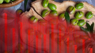 Esta tradicional empresa de aceitunas entra en concurso de acreedores al perder más de 4 millones de euros