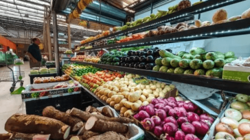 Sub-Saharan food security: Why youth still reject farming as business