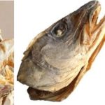 Why The IGBO Don’t Joke With Stockfish