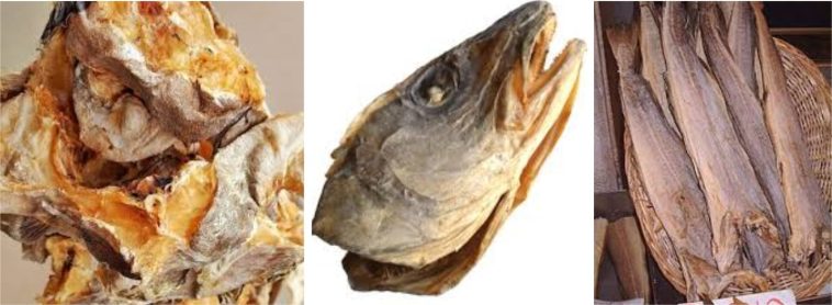 Why The IGBO Don’t Joke With Stockfish