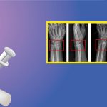 For a Team of Chinese Scientists, the Oyster Is Their World