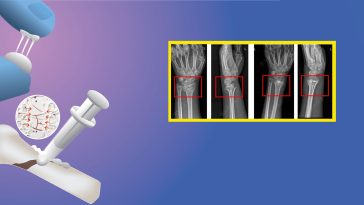 For a Team of Chinese Scientists, the Oyster Is Their World