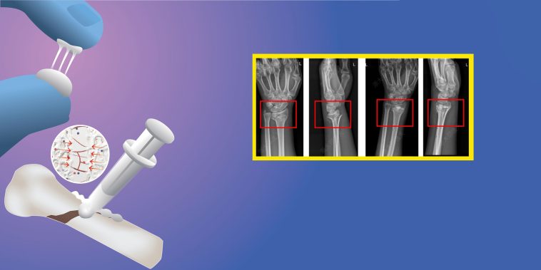 For a Team of Chinese Scientists, the Oyster Is Their World