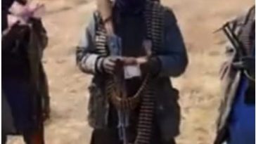 Bandit commander, Ado Aliero, kills traditional ruler in Tsafe