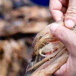 Taiwan entrepreneur revives banana plant as sustainable textile source