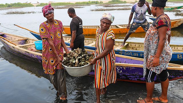 Ghana’s women struggle to save oyster farming hit by climate change