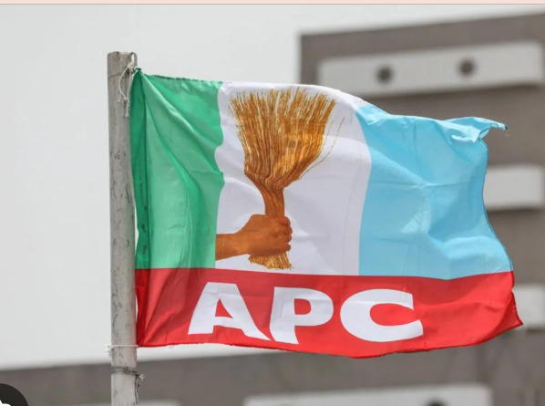 Tinubu’s compassion, decisiveness shaping Nigeria’s journey toward stability — APC