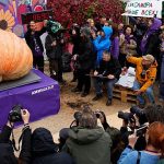 Russian Farmer breaks national record with 969 kilo pumpkin at giant vegetable showdown