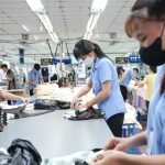 Lãi 8 tháng vượt 200 tỷ, TCM đạt 75% kế hoạch năm