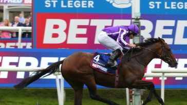 British horse racing denies links to anti-gambling lobby