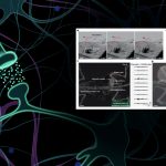 China’s NeuroWorm Inches Its Way Toward Brain Disorder Breakthroughs