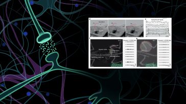 China’s NeuroWorm Inches Its Way Toward Brain Disorder Breakthroughs