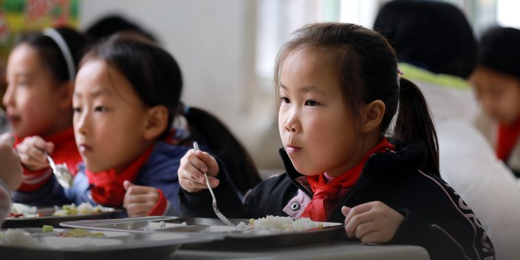 Shanghai School Lunch Scandal Leads to Investigation, Reforms