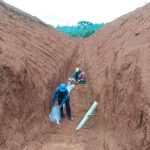 Altamira Gold granted Environmental Permit for two Trial Mining Licences within the Central Mineral Resource Area, Cajueiro District Project, Brazil