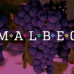 Este vino Malbec cuesta $10.000 y fue elegido como uno de los mejores de Argentina