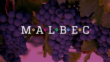 Este vino Malbec cuesta $10.000 y fue elegido como uno de los mejores de Argentina