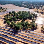 Solaria se hunde sin razones de peso y luce un descuento histórico del 70%