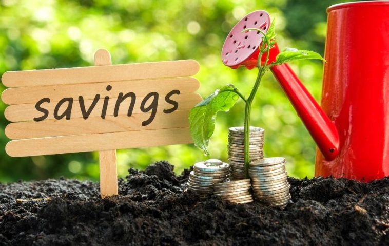 Next Wave: Can Kenyan startups bank on SACCOs for funding?