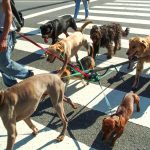 When Managing Your Team Becomes Too Much