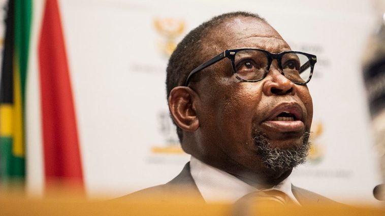 Miningweb: Africa must curb its reliance on outside money, Godongwana says