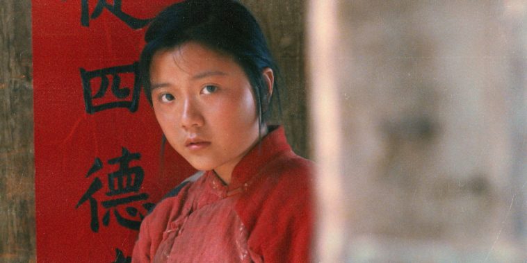 The Literature Professor Reframing China Narratives