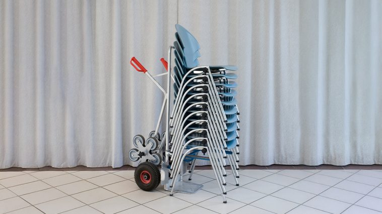 When Shareholder Engagement Hurts More Than It Helps