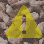 What Is Going on with All This Radioactive Shrimp?