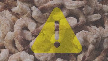 What Is Going on with All This Radioactive Shrimp?