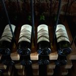 Od jednog trsa do brenda: Kako je obitelj Bratković pretvorila autohtonost u poslovni model