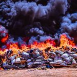 NDLEA destroys 8.2kg of seized illicit drugs in Yobe