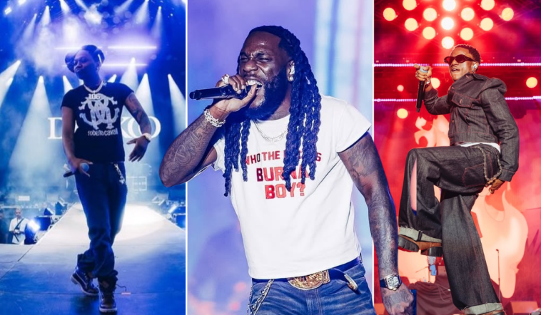Burna Boy Makes History in New Zealand at the Afrosoul Festival