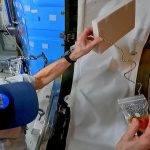 This is how the chain fountain effect behaves in space