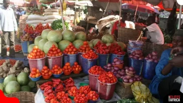 Nigeria Sees First Month-on-Month Food Deflation in 13 Years