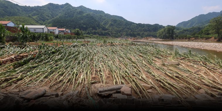 ‘Huge Lesson’: A Beijing Farmer Learns to Live in Climate Extremes