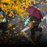 Late Bloomers: Climate Change Delays the Onset of Fall in China