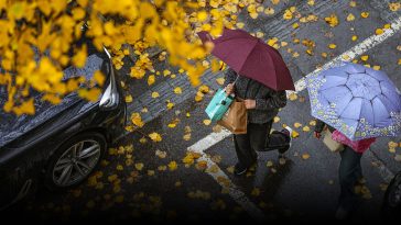Late Bloomers: Climate Change Delays the Onset of Fall in China