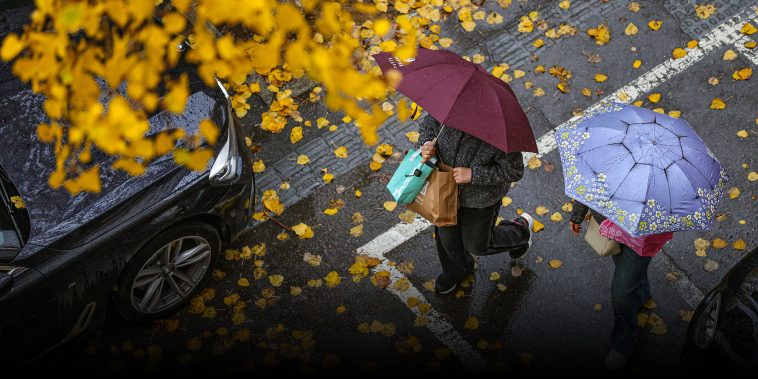 Late Bloomers: Climate Change Delays the Onset of Fall in China