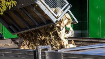 Vogelgrippe: Vogelgrippe grassiert – 400.000 Tiere in Deutschland gekeult