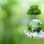 UAE food sector embracing AI, cloud tech to drive efficiency