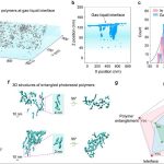 A Groundbreaking First: China’s New Advance in the Semiconductor Field