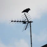 ATSC 3.0 is coming: TV antenna users should prepare for chaos