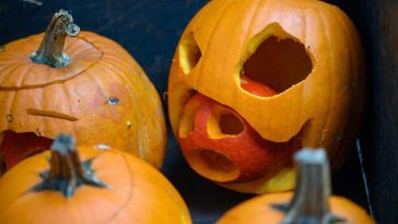 Halloween: Wo man sich in Sachsen-Anhalt erschrecken lassen kann